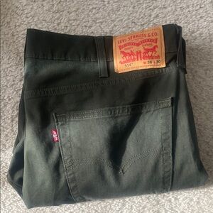 Levi's Forest Green Denim Pants